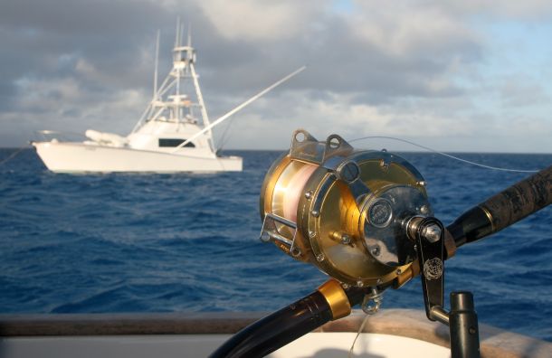 REPORT: Bagwah’s black marlin quest